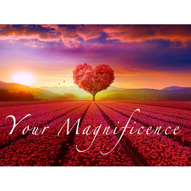 Encore: Your Magnificence meets your Money.