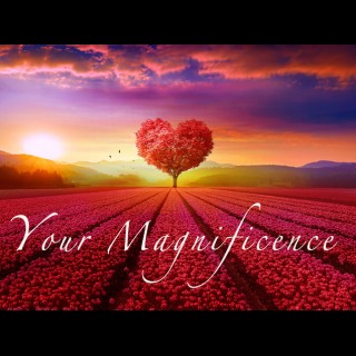 Encore: Your Magnificence meets your Money.