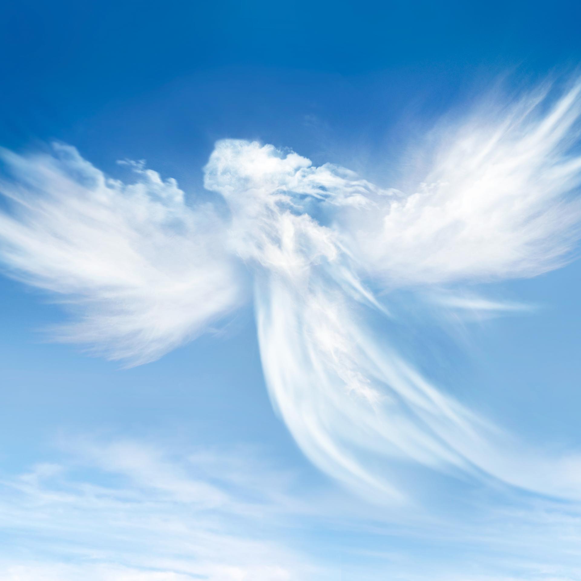 Impose on your Angels