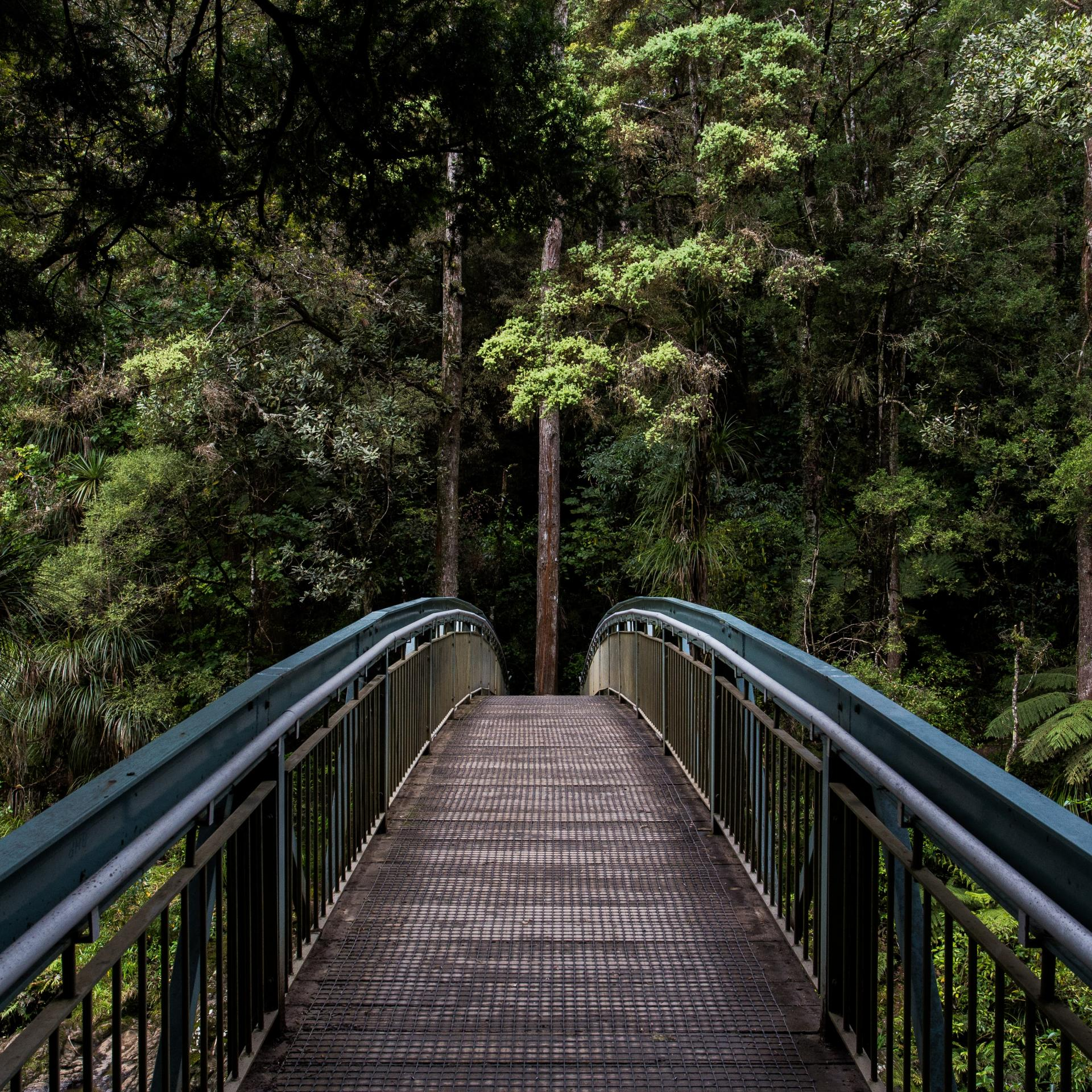 Building a Bridge to Your New Life