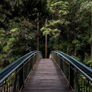 Building a Bridge to Your New Life