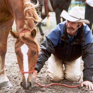 Encore: A Health & Wellness Journey with Nationally Recognized Universal Horsemanship™ Creator Dennis Reis