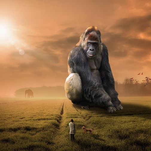 Put on the Gorilla Suit: Magnetize the Life You’d Love