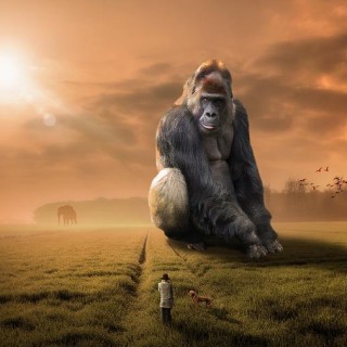 Put on the Gorilla Suit: Magnetize the Life You’d Love