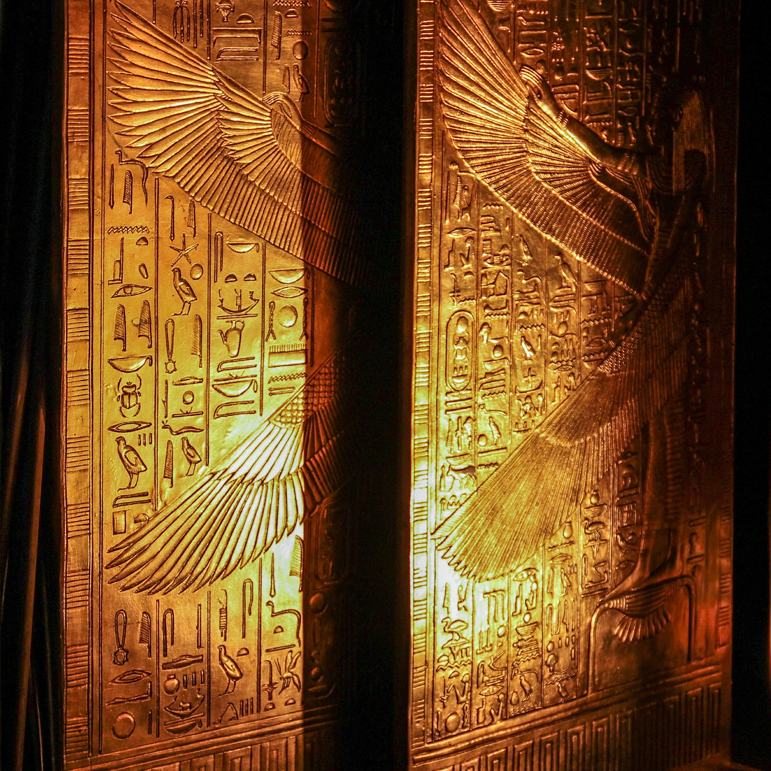 Stepping through the Golden Door with Dr. Brie Gibbs!