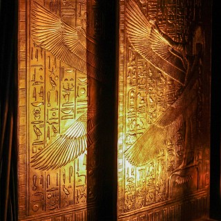 Stepping through the Golden Door with Dr. Brie Gibbs!