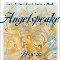 Connecting with your Angels with guest Trudy Griswold!