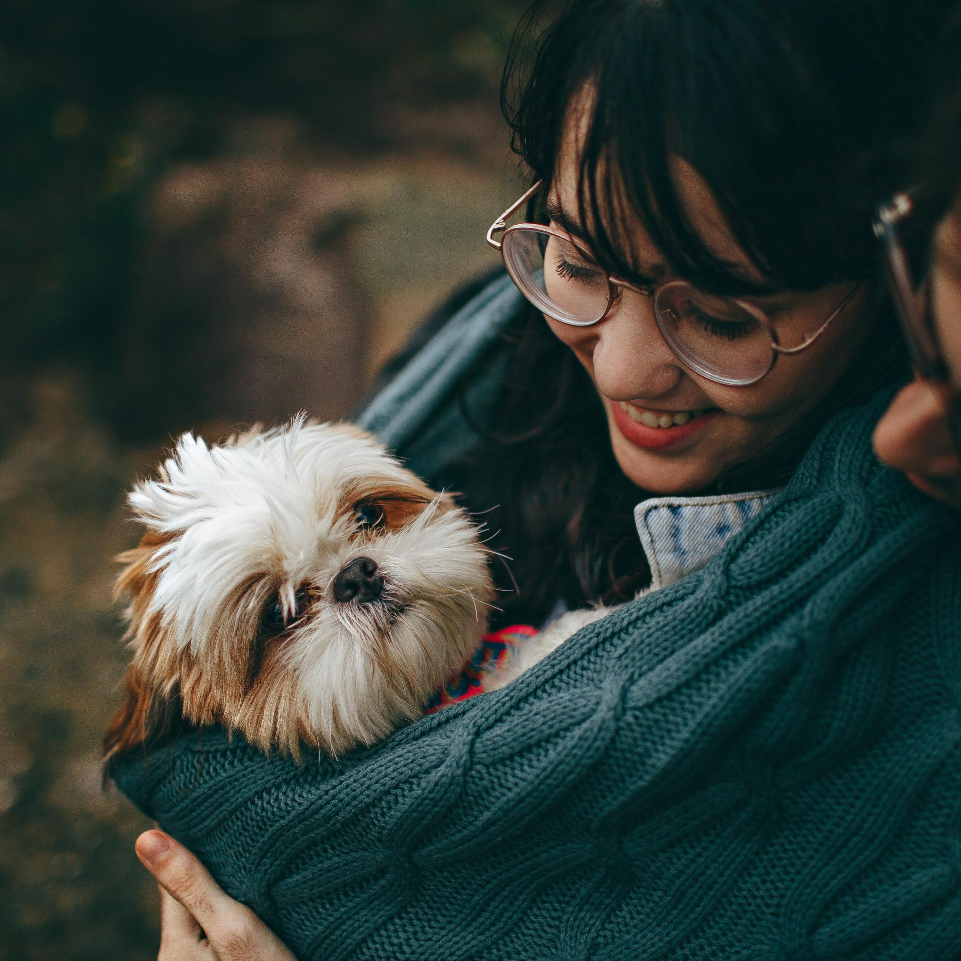 Dealing With The Loss Of A Beloved Pet