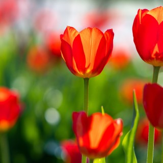 April showers bring May flowers...What death teaches us about life.