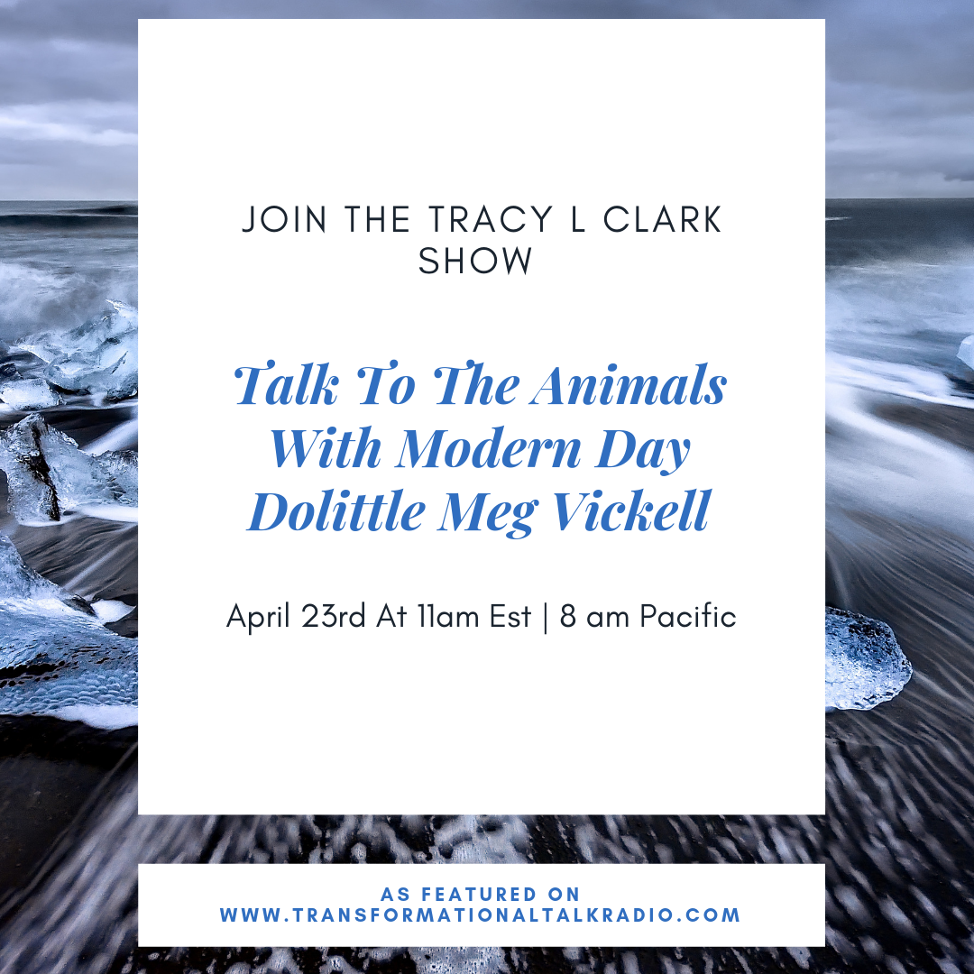 Talk To The Animals