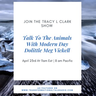 Talk To The Animals