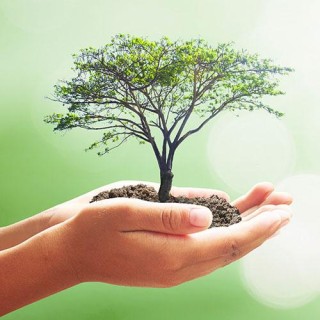 Health part 3 - contrasting traditional and alternative medicine and how to heal with both!