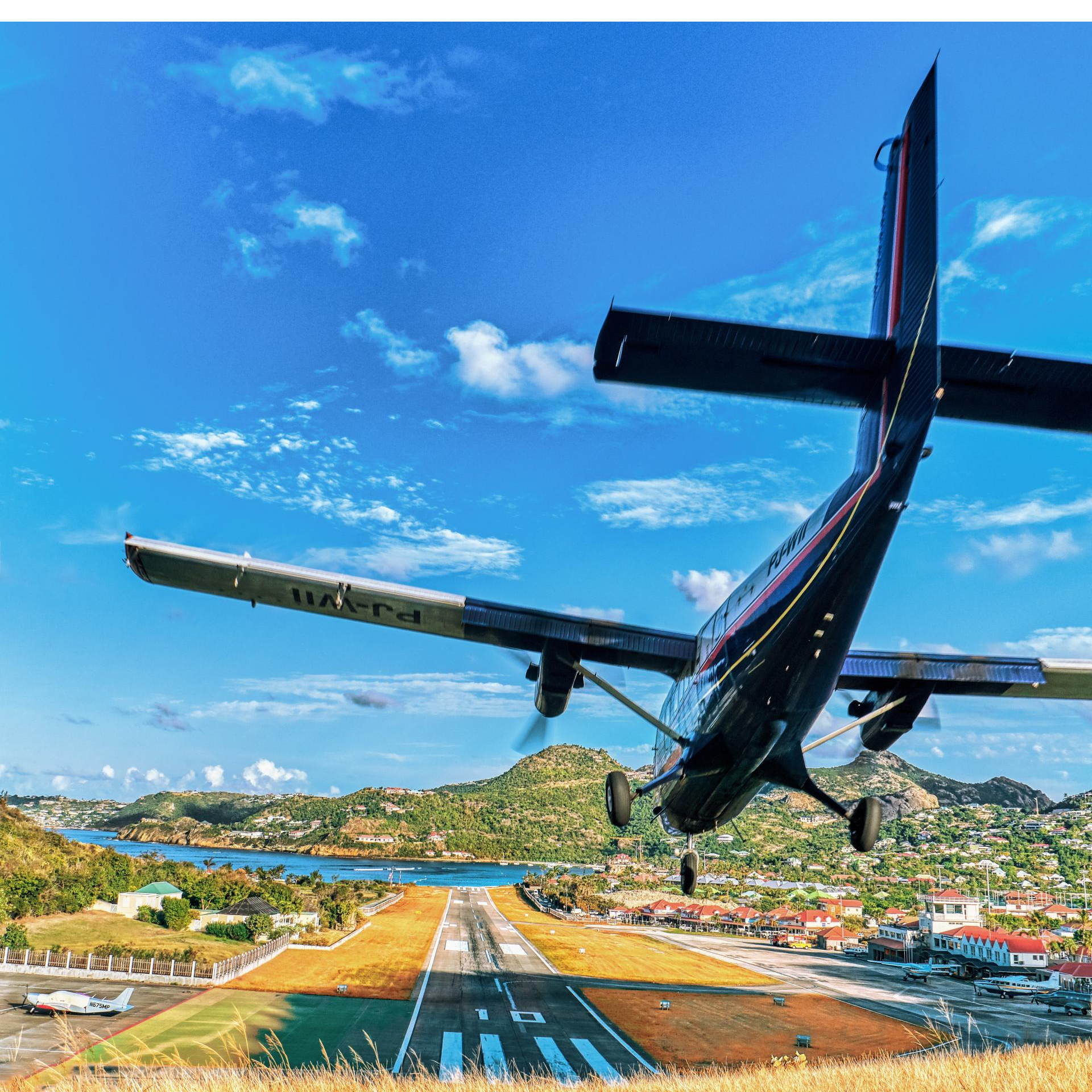 Fly High Survival Skills: How to Stay Alive in a Confusing World!