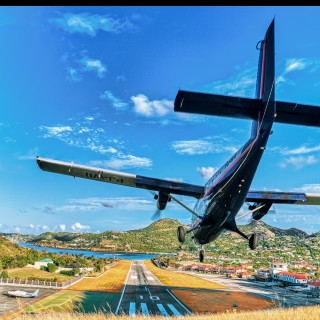 Fly High Survival Skills: How to Stay Alive in a Confusing World!