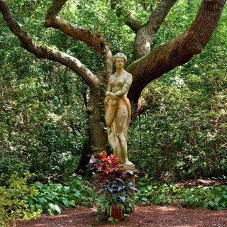The Power of the Divine Feminine