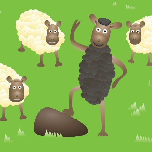 Black Sheep - are you a black sheep? Here’s the answer! 


