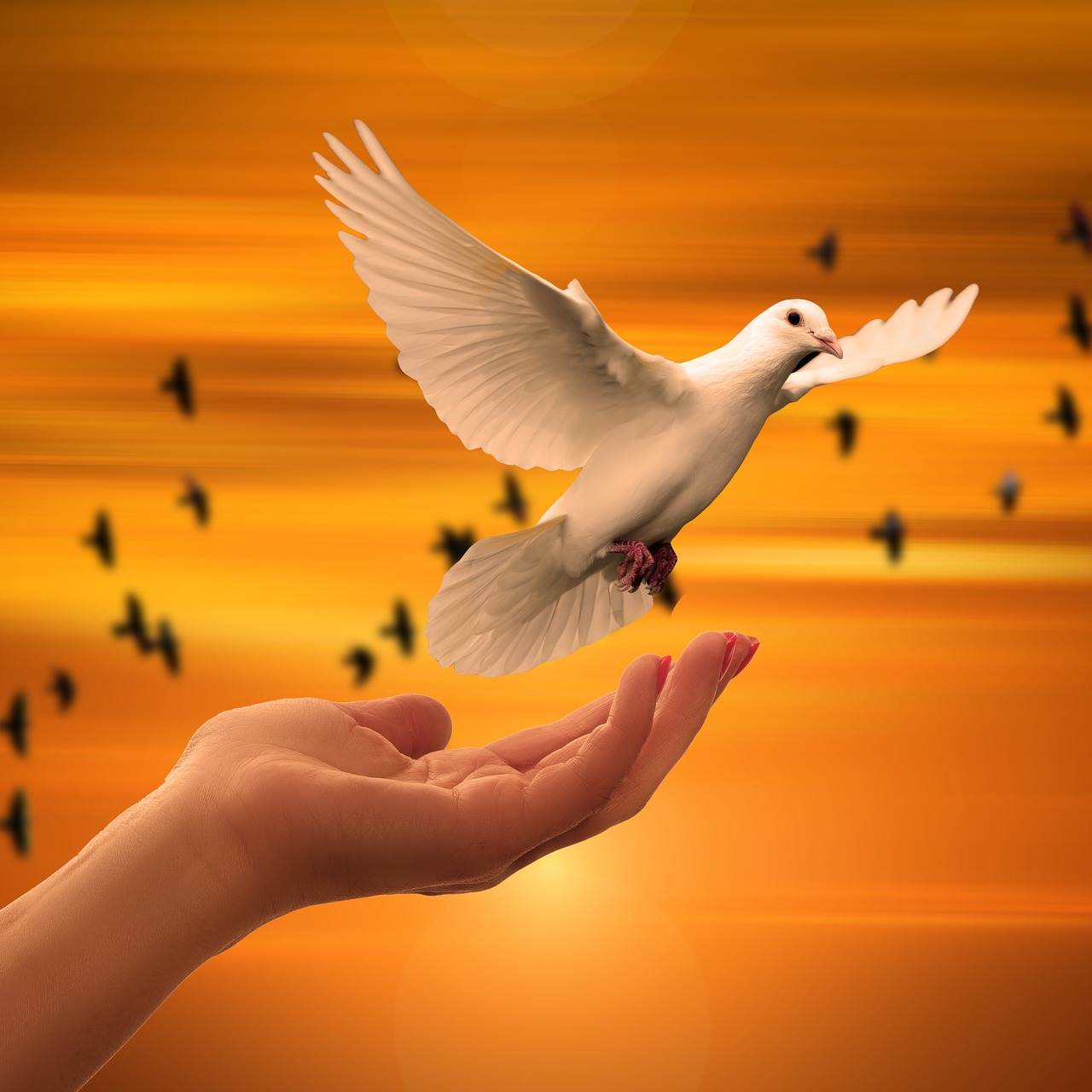 Forgiveness and Spiritual Enlightenment!