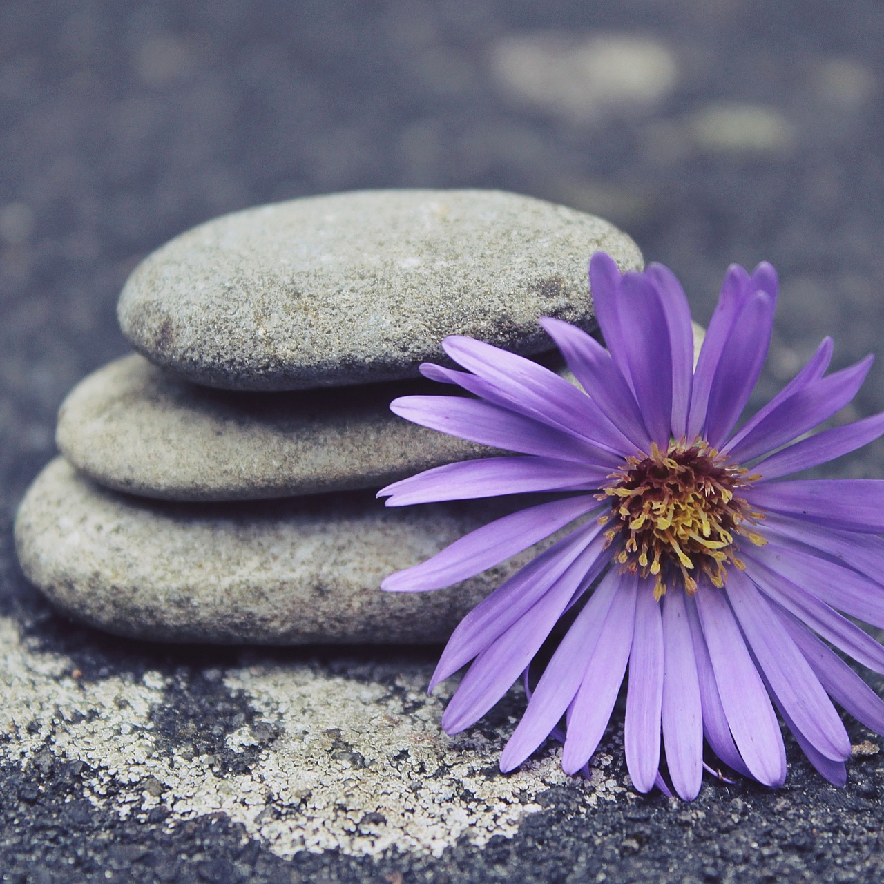 The Journey To Achieving Inner Balance And Health!