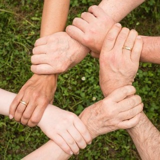 Your TRIBE! 