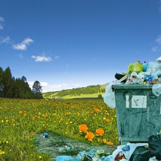 New Appreciation for Recycling with LeRoy Malouf