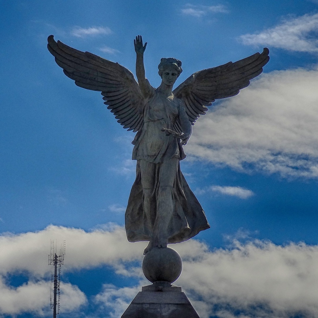 Angels Pave the way for Success with Sue Storm The Angel Lady!