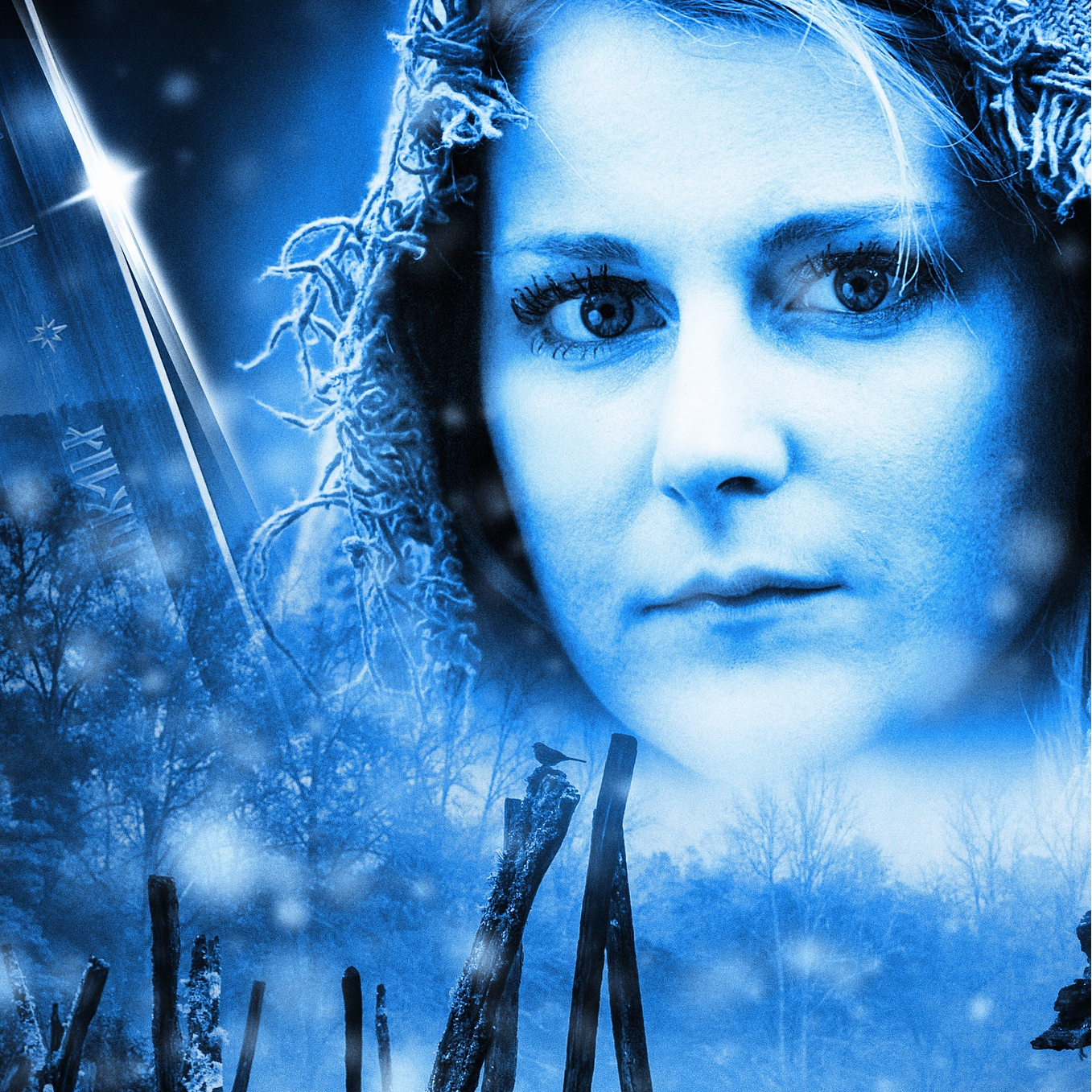 Scapegoating Mental Illness-PT 2: What Part of Terror Doesn't Washington Understand