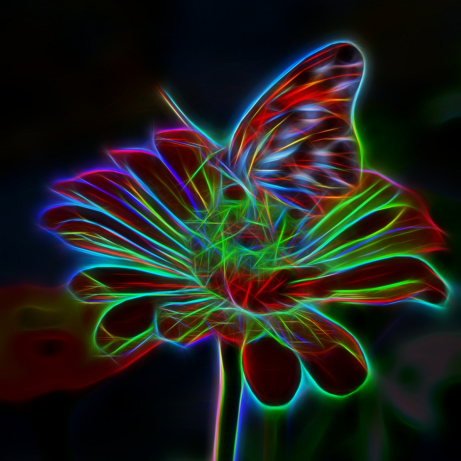 More on Energy Medicine! Are we really all connected? Can a butterfly really flap its wings and alter the path of a tornado?