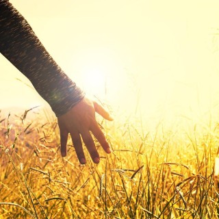 Daily Irritation & Difficulty: New Tools For A Peaceful Life with Selina Maitreya