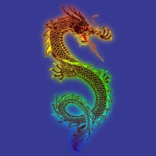 Meet the Dragons with Special Guest Dr. Jaap van Etten