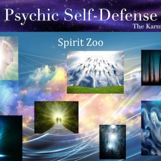 Just Follow Spirit - NOT!