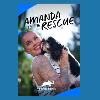 Encore: Amanda Giese, star of Animal Planet’s Amanda to the Rescue and Founder of Panda Paws Rescue!
