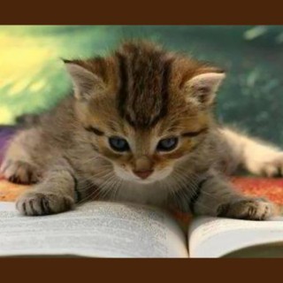 Pets Talk with Dr. Monica Diedrich!