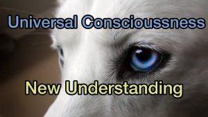Business Game Changers Radio with Sarah Westall: Communicating with Animals, Universal Consciousness w/ top scientists Max Champie & Phil Catalano