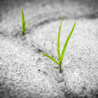 How to Keep Going When the Times Get Tough