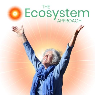 The Ecosystem Approach - we changed our name, here’s why! 
