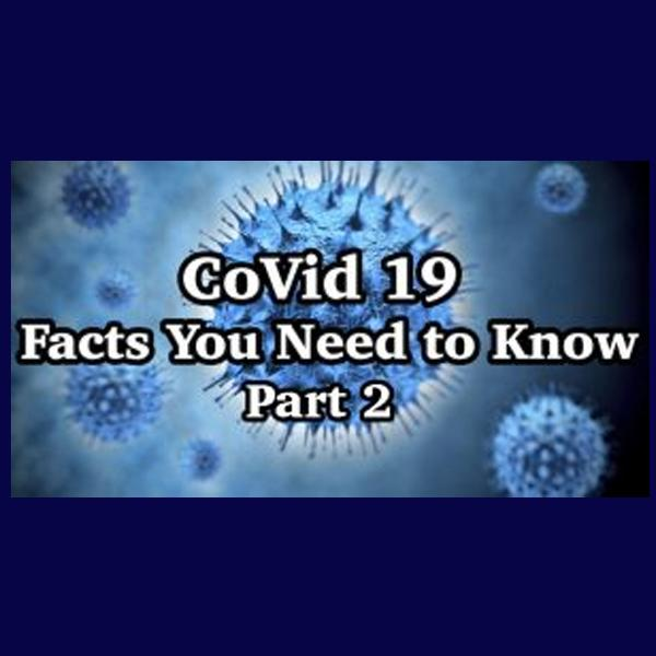 Business Game Changers Radio with Sarah Westall: Latest on CoronaVirus from Top Doctors & Experts, Facts You Wont Hear in the MSM (2of2)