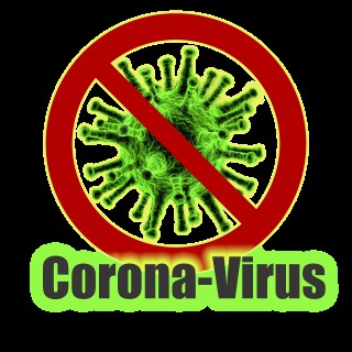 How to SurThrive the Energetics of the Coronavirus