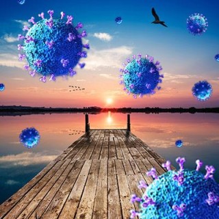 The Corona Virus part 4 - big picture effects this virus has on you and the world! 
