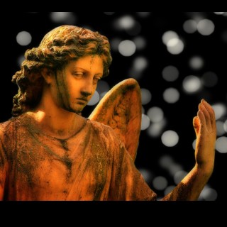 The Power of Forgiveness