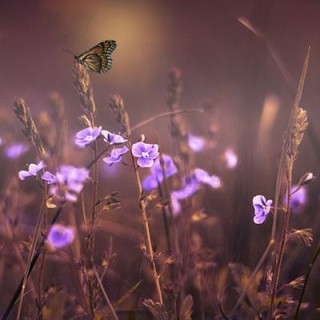 Empowerment in Uncertainty with guest Marysia Szpindor Watson