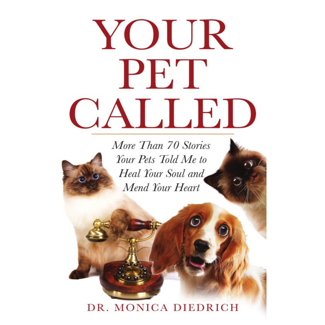 Shelter In Place With Your Pets!