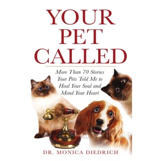 Shelter In Place With Your Pets!