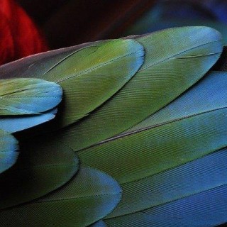 Taking the Brave Journey into Self: Burlesque, Money, and God