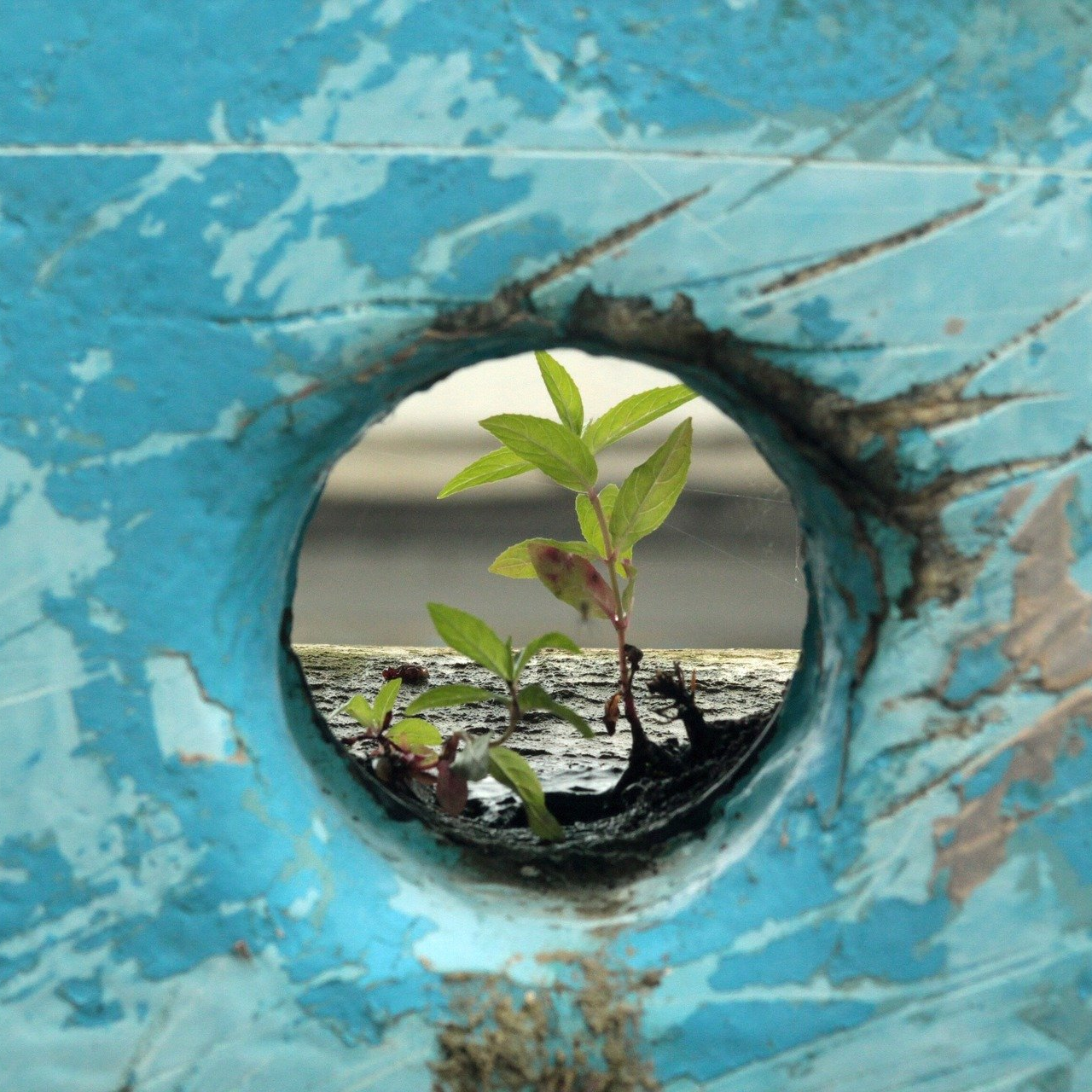 Thriving in Unprecedented Times by Improving Your Resiliency