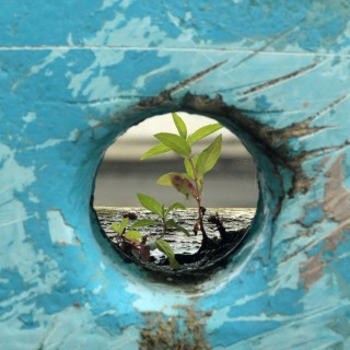 Thriving in Unprecedented Times by Improving Your Resiliency