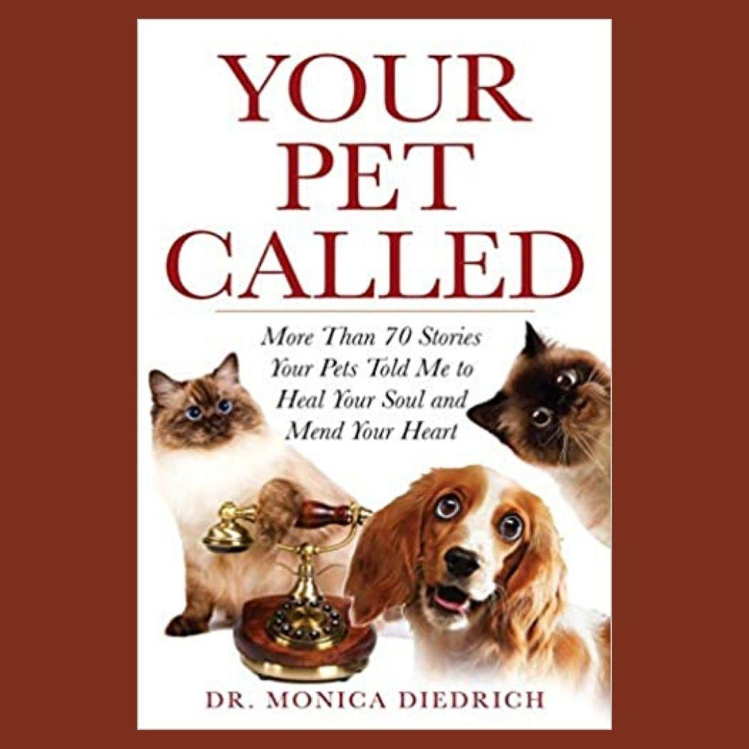 Having a Routine with Your Pets