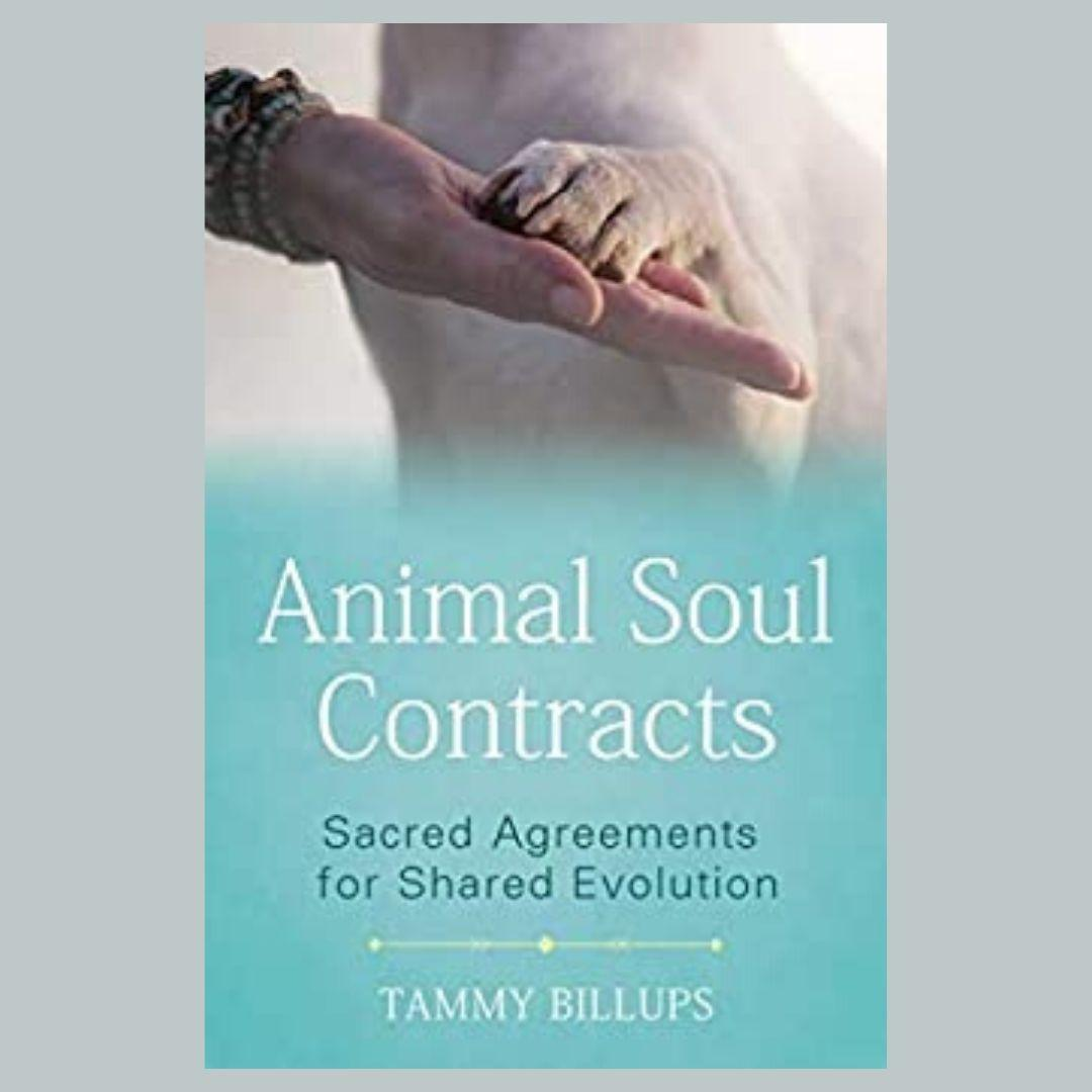 Animal Soul Contracts: Sacred Agreements for Shared Evolutions with special guest Tammy Billups!