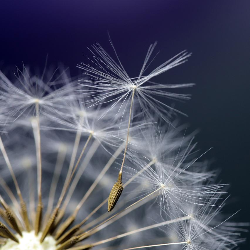 Rachel’s Art of Letting Go, Three Aspects of Nurturing Resilience