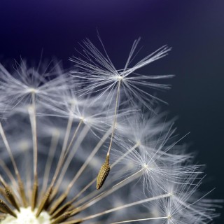 Rachel’s Art of Letting Go, Three Aspects of Nurturing Resilience