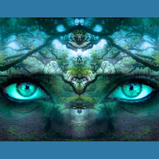 Your Perception Is Your Reality - Learning to Look Past the Illusion
